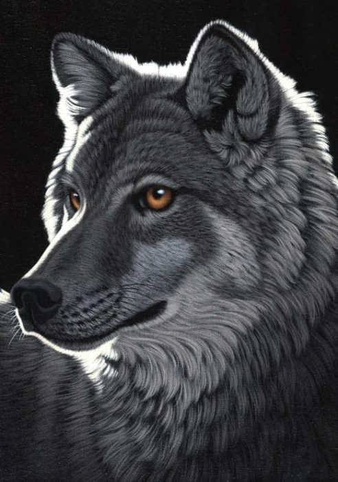 schim-schimmel-night-wolf-jigsaw-puzzle-1500-pieces.59881-1.fs.jpg