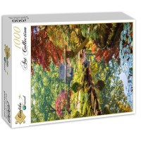 zen-forest-jigsaw-puzzle-1000-pieces.55253-2.fs.jpg