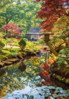 zen-forest-jigsaw-puzzle-1000-pieces.55253-1.fs.jpg