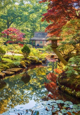 Grafika 1000 - Zen Forest