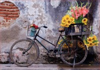 pol_pl_Puzzle-500-el-Rower-z-kwiatami-6874_2.jpg