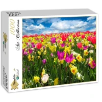 tulips-jigsaw-puzzle-1000-pieces.53535-2.fs.jpg
