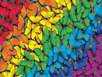 master-pieces-fluttering-rainbow-jigsaw-puzzle-550-pieces.83228-1.fs.jpg