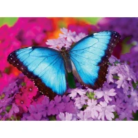 master-pieces-iridescence-butterfly-jigsaw-puzzle-550-pieces.79427-1.fs.jpg