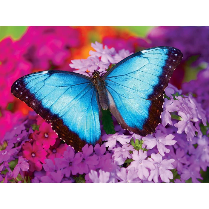 master-pieces-iridescence-butterfly-jigsaw-puzzle-550-pieces.79427-1.fs.jpg