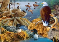 lake-life-master-pieces.83277-1.fs.jpg