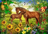 bluebird-puzzle-spirit-of-summer-jigsaw-puzzle-1000-pieces_64741-1_fs.jpg