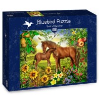 bluebird-puzzle-spirit-of-summer-jigsaw-puzzle-1000-pieces_64741-2_fs.jpg