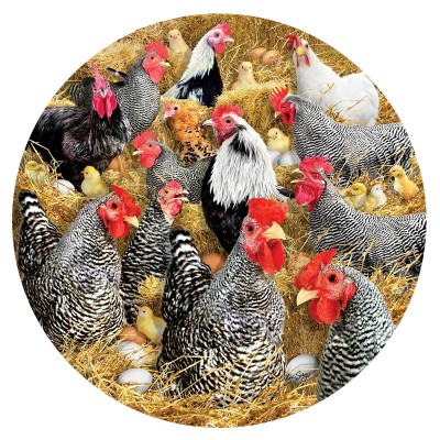 SunsOut 1000 - Chickens and Chicks