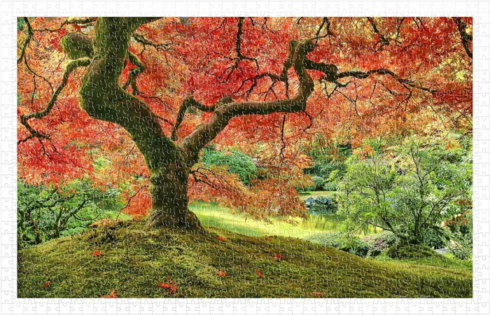 japanese-garden-in-portland-jigsaw-puzzle-1000-pieces.83401-1.fs.jpg