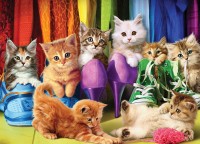 kitten-pride-jigsaw-puzzle-1000-pieces.81999-1.fs.jpg