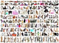 the-world-of-cats-jigsaw-puzzle-1000-pieces.53259-1.fs.jpg