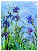 claude-monet-irises-detail-jigsaw-puzzle-1000-pieces.42390-1.fs.jpg