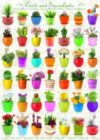 cactus-succulents-jigsaw-puzzle-1000-pieces.53264-1.fs.jpg