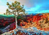 winter-sunrise-jigsaw-puzzle-1000-pieces.53319-1.fs.jpg