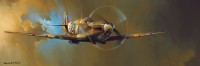 spitfire-by-barrie-a-f--clark-jigsaw-puzzle-1000-pieces.58578-1.fs.jpg