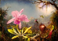 bluebird-puzzle-martin-johnson-heade-cattleya-orchid-and-three-hummingbirds-1871-jigsaw-puzzle-1000-pieces.83820-1.fs.jpg