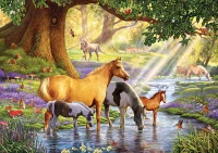 ks-games-steve-crisp-horses-by-the-stream-jigsaw-puzzle-1000-pieces_54945-1_fs.jpg