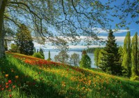 pol_pl_PQ-Puzzle-1000-el-Wyspa-kwitnacych-tulipanow-7233_2.jpg