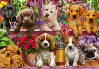 pol_pl_PQ-Puzzle-500-el-Psy-na-polce-7228_2.jpg