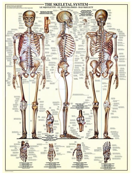 jigsaw-puzzle-1000-pieces.42482-2.fs.jpg