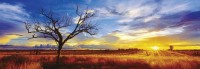 pol_pl_PQ-Puzzle-1000-el-MARK-GRAY-Desert-Oak-Australia-panorama-2471_6.jpg