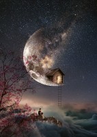 pol_pl_PQ-Puzzle-1000-el-NATACHA-EINAT-Szepty-snow-7253_2.jpg