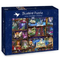 Bluebird Puzzle 3000 - Library Adventures in Reading (2).jpg