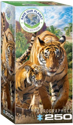 Eurographics 250 - Tigers