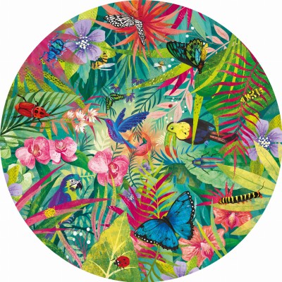 Gibsons 500 - Tropical