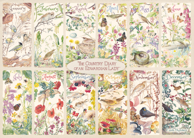Falcon 1000 - A Year of The Country Diary (Rok pełen kwiatów i ptaków)