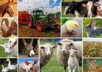 collage-farmyard-animals-jigsaw-puzzle-2000-pieces_58035-1_fs.jpg