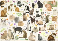 cats-poster-jigsaw-puzzle-1000-pieces.63573-1.fs.jpg