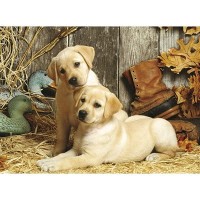 jigsaw-puzzle-1500-pieces-curious-puppies.4843-1.jpg