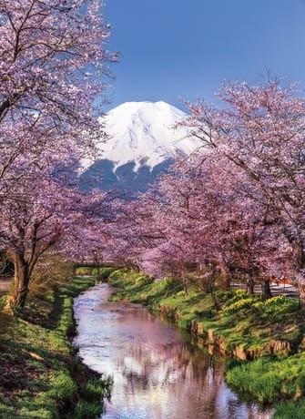 dfuji-mountain-1000-el-high-quality-collection_FetSyce.jpg.460x460_q100.jpg
