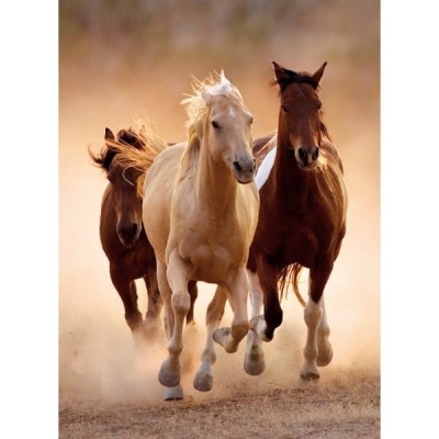 Clementoni 1000 - Wild Horses Galloping (Konie w galopie)
