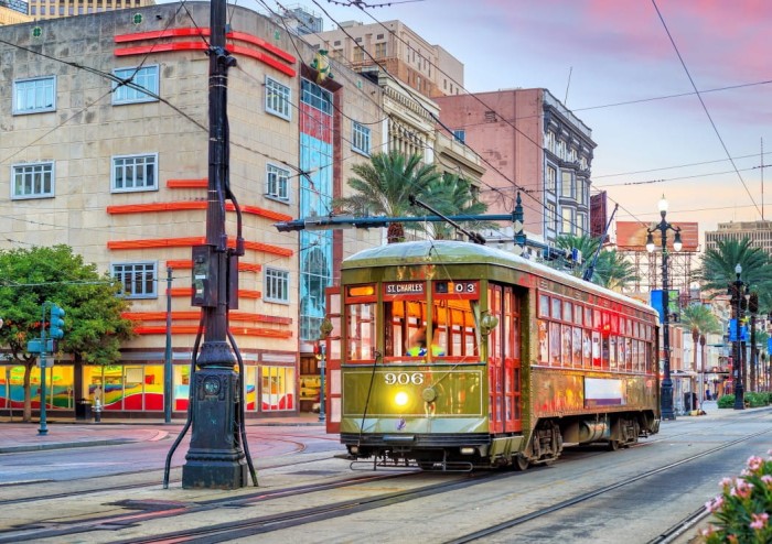 bluebird-puzzle-tramway-new-orleans-usa-jigsaw-puzzle-1000-pieces.83712-1.fs.jpg