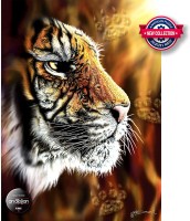 wild-tiger-perre-anatolian.84532-1.fs.jpg