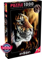 wild-tiger-perre-anatolian.84532-2.fs.jpg
