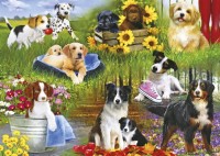 playful-pups.84633-1.fs.jpg