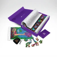 B5PackageShot_1024x1024.jpg