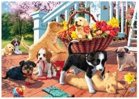 secret-puzzle-puppies-jigsaw-puzzle-1000-pieces.62959-1.fs.jpg
