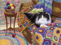 comfy-cat-cobble-hill-outset-media.84785-1.fs.jpg