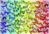 bluebird-puzzle-butterflies-jigsaw-puzzle-1000-pieces.83948-1.fs.jpg