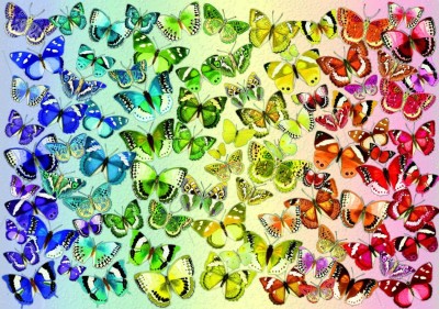 Bluebird 1000 - Butterflies