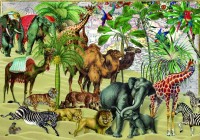 bluebird-puzzle-desert-jigsaw-puzzle-1000-pieces.83939-1.fs.jpg