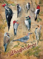 cobble-hill-outset-media-xxl-pieces-notable-woodpeckers-jigsaw-puzzle-500-pieces.65005-1.fs.jpg