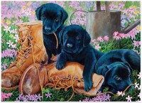 cobble-hill-outset-media-xxl-pieces-trouble-in-the-garden-jigsaw-puzzle-500-pieces.65015-1.fs.jpg