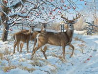 cobble-hill-outset-media-xxl-jigsaw-pieces-persis-clayton-weirs-winter-deer-jigsaw-puzzle-500-pieces.56118-1.fs.jpg