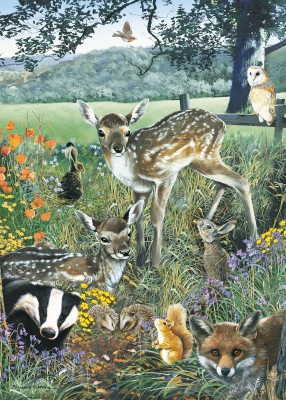 Otter House 1000 - Woodland Friends